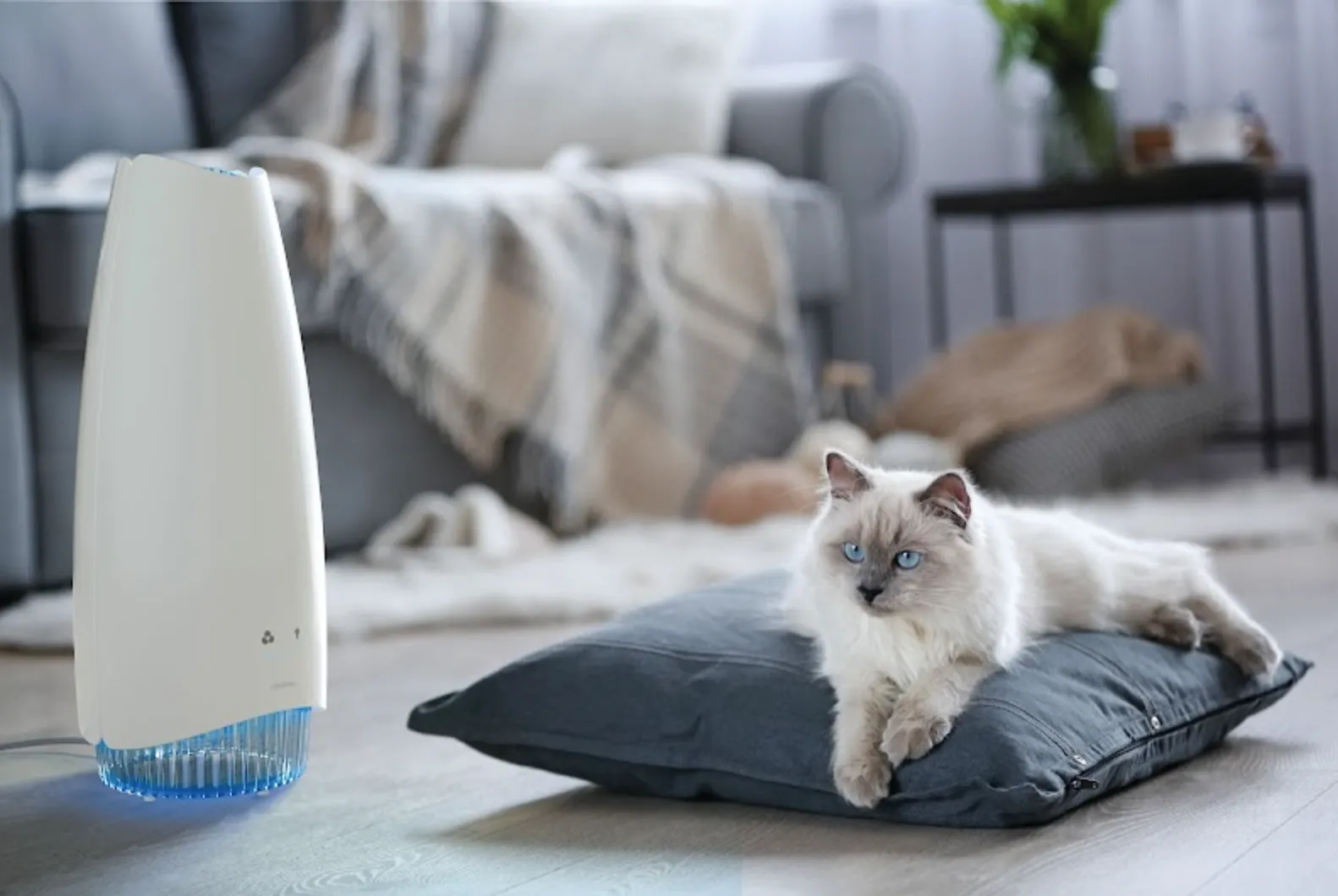 AirFree Elite Filterless Air Purifier